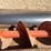 #3375-•-silomatic-10'-grain-auger-image-14