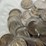 #40041-•-(50)-buffalo-nickels-image-10