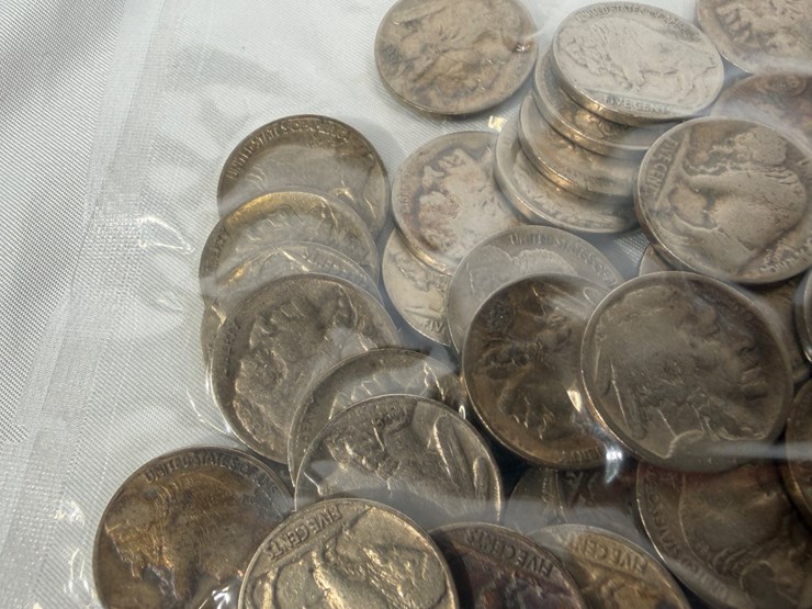 #40041-•-(50)-buffalo-nickels-image-10