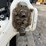 2023-bobcat-t76-image-11