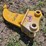 caterpillar-303-image-1