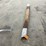 #3413-•-bundle-of-(5)-inch-thick-rough-cut-black-walnut-boards-image-3