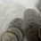 #40035-•-(50)-1776-1976-bicentennial-one-dollar-coins-image-18