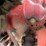 case-ih-9260-image-28