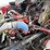 2019-international-mv-image-12