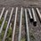 #8356-•-heavy-wall-5”-black-iron-pipe-image-3