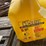 #8751-•-(4)-5-gallon-diesel-cans-image-2