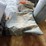 #7943-•-(2)-tarps-image-2