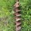 3-pt-hitch-auger-drive-image-4