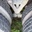 2021-kenworth-t880-image-7