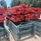 #40079-•-(1)-stack-bolt-on-upright-16ft-x-46in-bolt-on-beams-8ft-x-3-1/2in-pallet-racking-image-1
