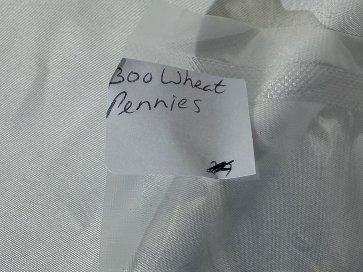 #40031-•-(300)-old-wheat-pennies-image-3