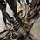 #8359-•-single-draft-horse-harness-image-5