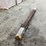 #3423-•-bundle-of-(5)-inch-thick-rough-cut-black-walnut-boards-image-2
