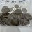 #40036-•-(50)-1776-1976-bicentennial-one-dollar-coins-image-10