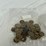 #40041-•-(50)-buffalo-nickels-image-14