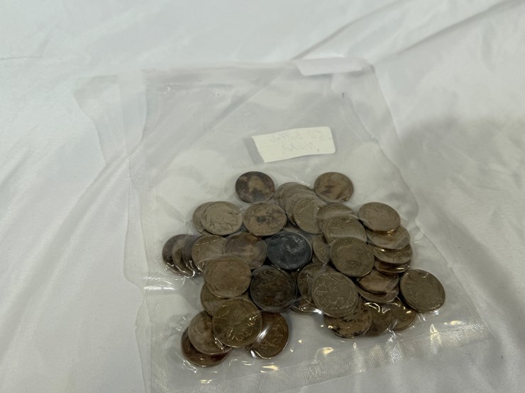 #40041-•-(50)-buffalo-nickels-image-14