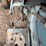 kubota-l235-image-23