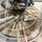 #1814-•-36"-power-trowel-w/-8hp-honda-image-9