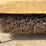 #3433-•-mb-tough-brush-broom-image-14
