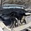 2011-ford-f250-image-8
