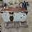 diesel-transfer-tank-image-1