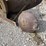 #8322-•-ferguson-3-point-1-bottom-plow-image-6