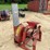 mckee-corn-hog-image-4