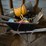 #8362-•-assorted-lot-image-7