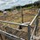 atv-mounted-safety-calf-catch-image-20