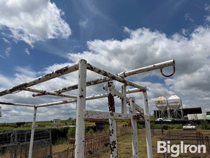 livestock-fitting-chute-image-12