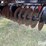2019-sunflower-6631-40-image-19