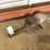 14in-auger-bit-image-1