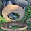 (1)-pair-of-oliver-wheel-weights-image-4