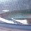 2002-ford-f150-image-14