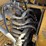 caterpillar-308e2-cr-image-52