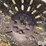 steel-wagon-wheels-image-12