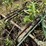 john-deere-3-section-rotary-hoe-image-17