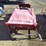 ir-et13-utility-trike-image-6