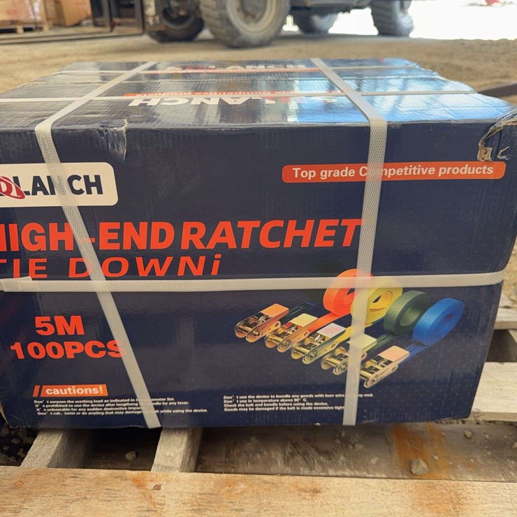 SDLANCH 5M Ratchet Tie Down Straps, 100-Piece Bulk Set