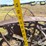 horse-drawn-cultivator-image-11