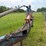white-5-furrow-plow-image-17