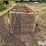 calf-feeding-stalls-image-4