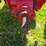 international-h-image-12