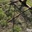 tri-l-loader-bale-spear-image-10