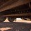 2013-big-tex-gooseneck-trailer-image-12