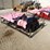 ir-et13-utility-trike-image-2