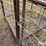 small-livestock-pens-image-15