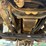 2003-freightliner-fl70-image-9