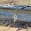102"-bucket-w/maxi-grapple-image-11